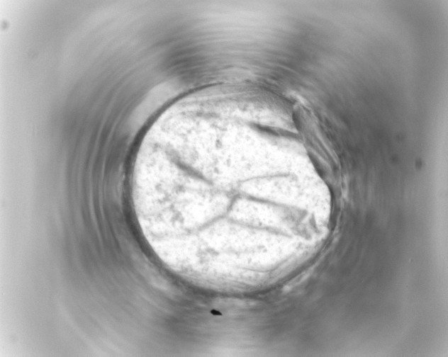 X0000088650242200706221617