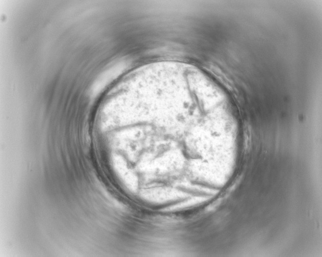 X0000088650245200706221617