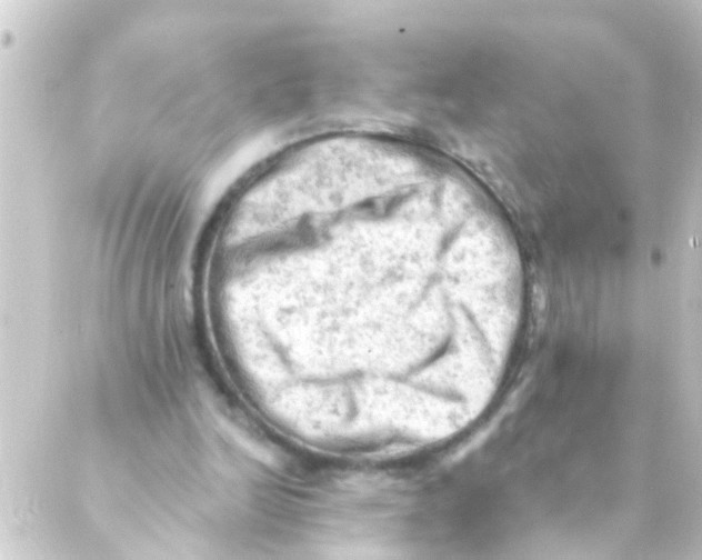 X0000088650246200706221617