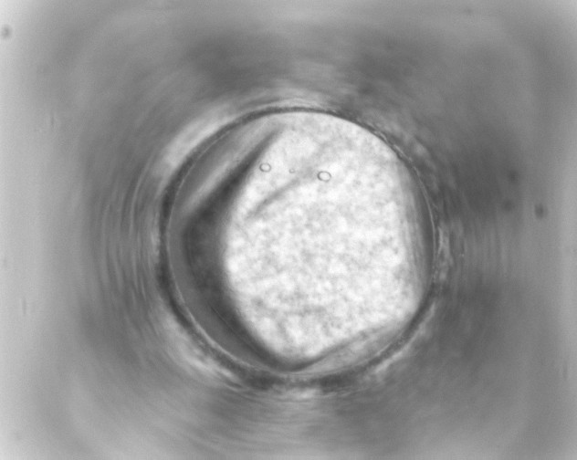 X0000088650247200706221617