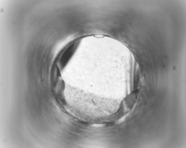 X0000088650248200706221617