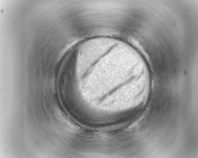 X0000088650249200706221617