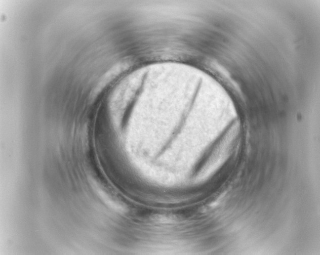 X0000088650250200706221617