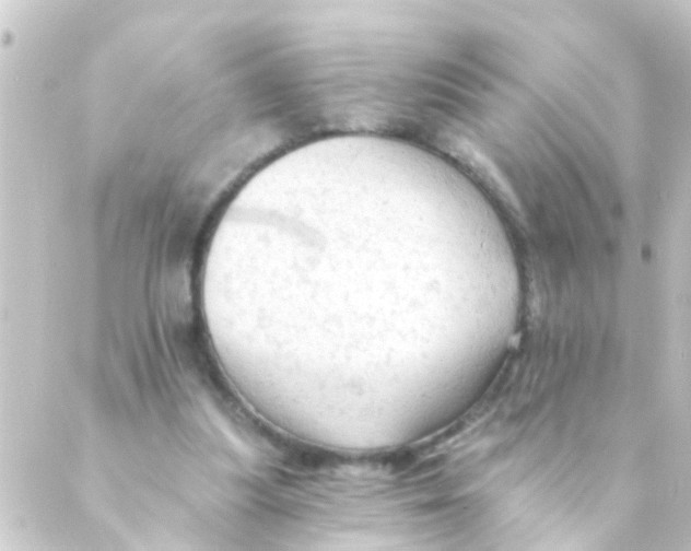 X0000088650251200706221617