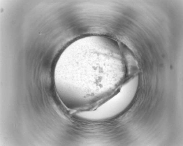 X0000088650252200706221617