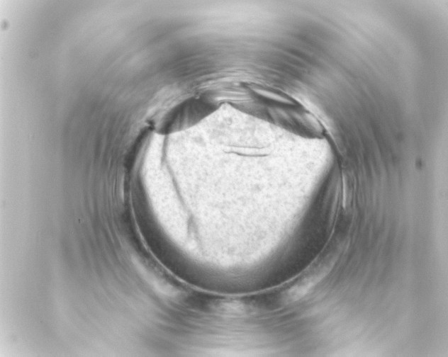 X0000088650253200706221617