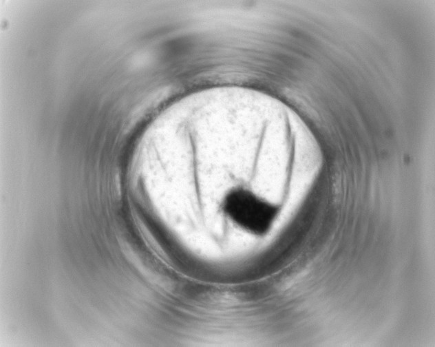 X0000088650254200706221617