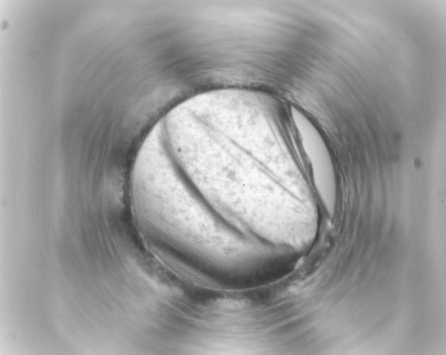 X0000088650255200706221617