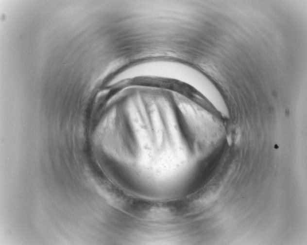 X0000088650256200706221617