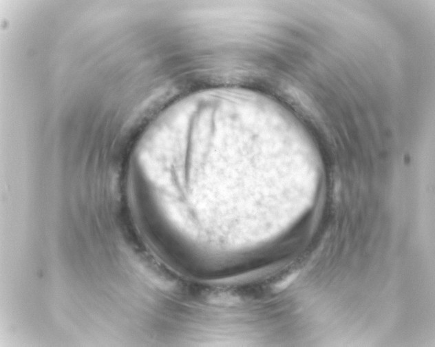 X0000088650258200706221618