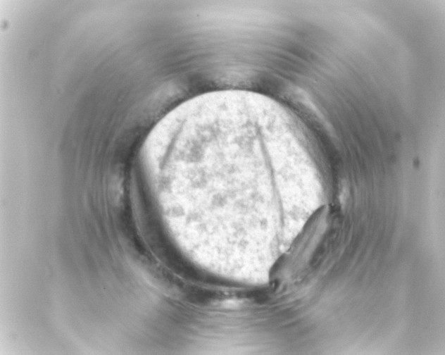 X0000088650259200706221618