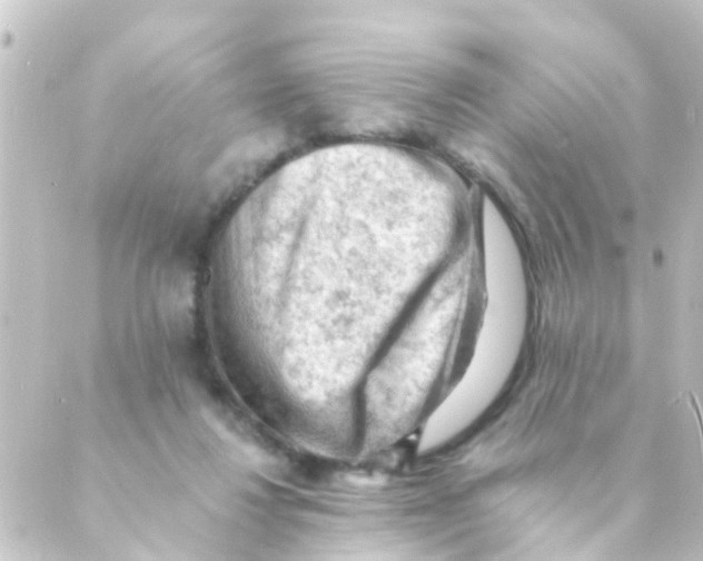 X0000088650260200706221618