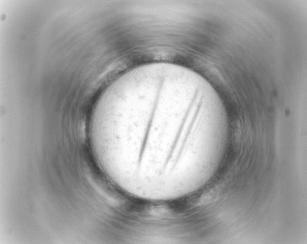 X0000088650262200706221618