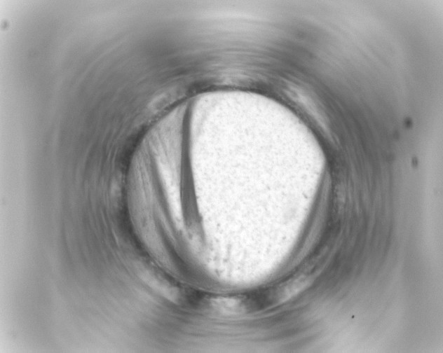 X0000088650265200706221618