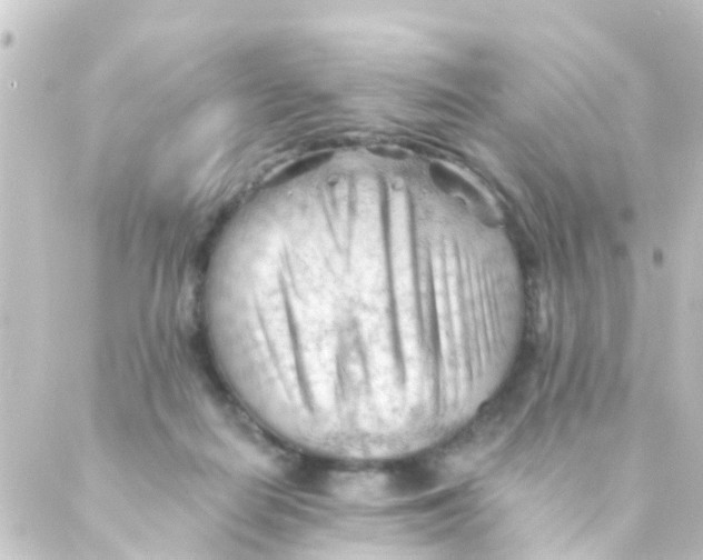 X0000088650266200706221618