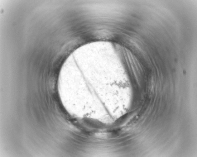 X0000088650268200706221618