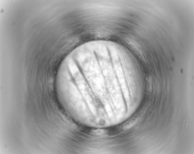 X0000088650269200706221618