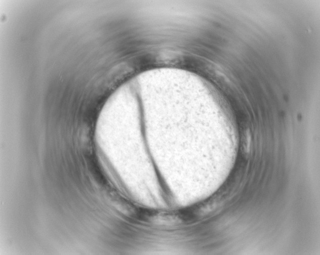 X0000088650270200706221618