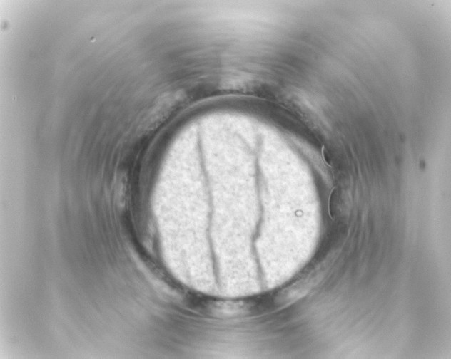 X0000088650273200706221618