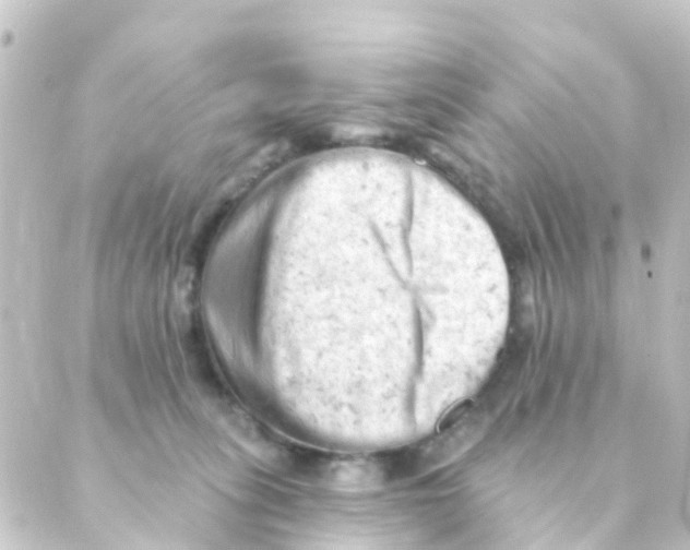 X0000088650275200706221618