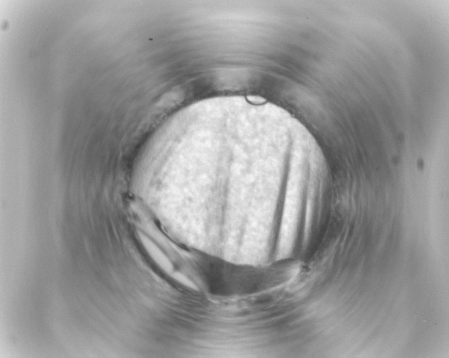 X0000088650277200706221618