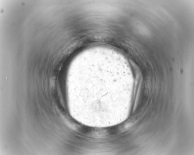 X0000088650278200706221618