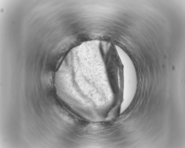 X0000088650280200706221618