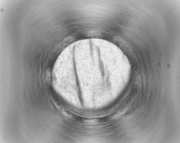 X0000088650281200706221618