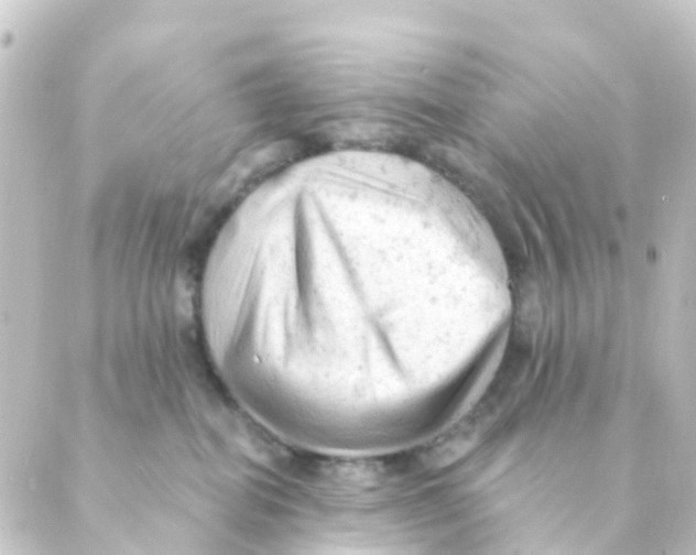 X0000088650282200706221618