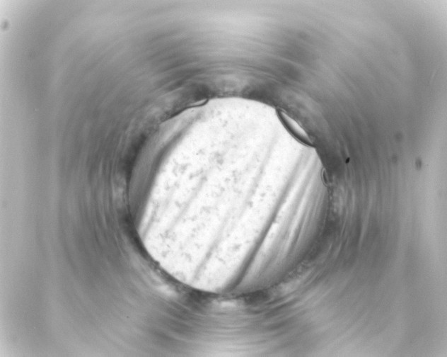 X0000088650283200706221618