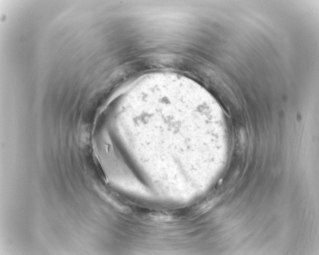 X0000088650284200706221618