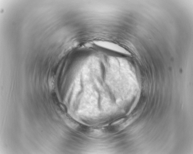 X0000088650285200706221618