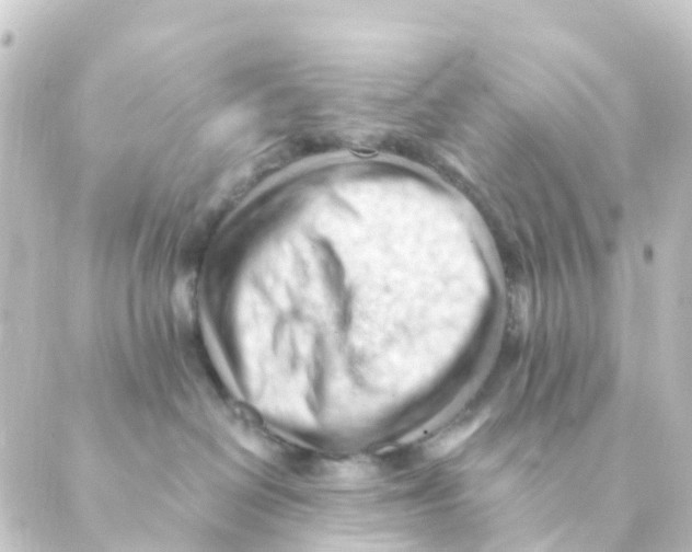 X0000088650286200706221618