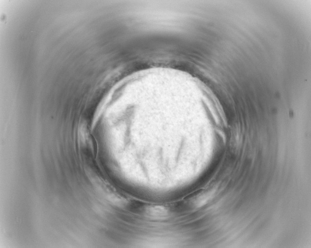 X0000088650287200706221618