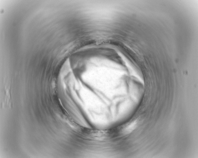 X0000088650288200706221618