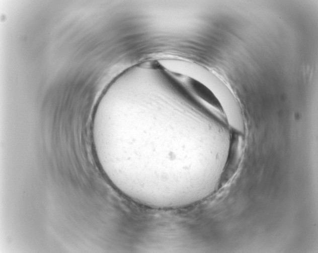 X0000088650289200706221617