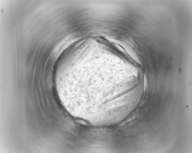 X0000088650291200706221617