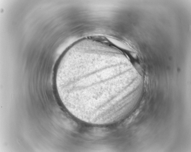 X0000088650292200706221617