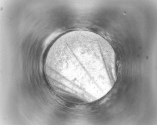 X0000088650294200706221617