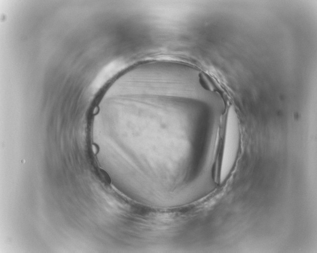 X0000088650295200706221617