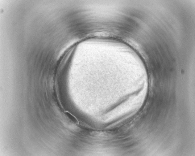 X0000088650297200706221617