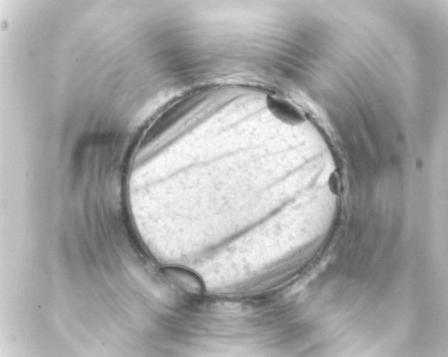 X0000088650298200706221617