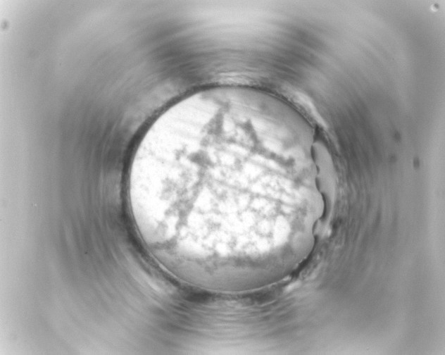 X0000088650299200706221617