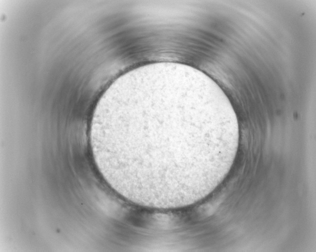 X0000088650302200706221617