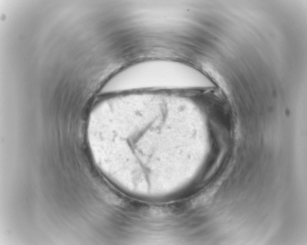 X0000088650305200706221617