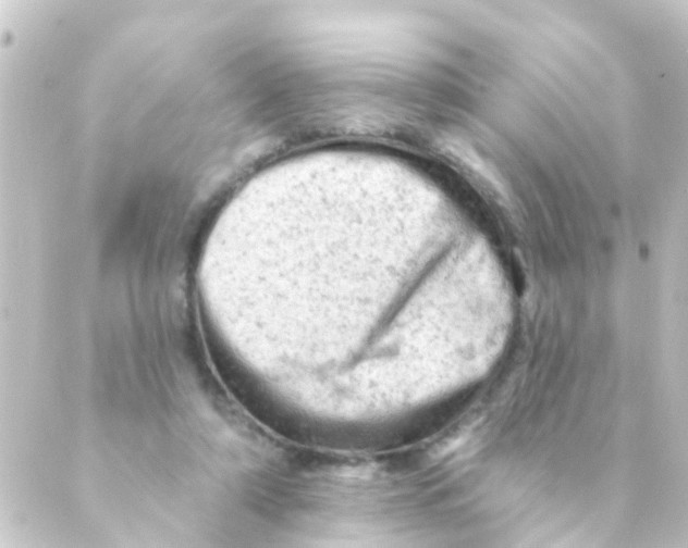 X0000088650306200706221617