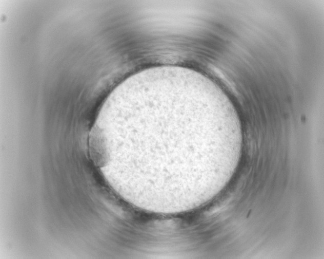 X0000088650307200706221617