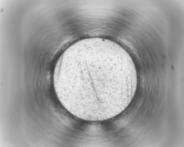 X0000088650308200706221617