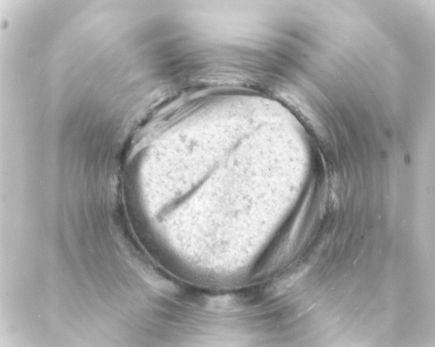 X0000088650309200706221617