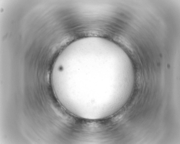 X0000088650310200706221617